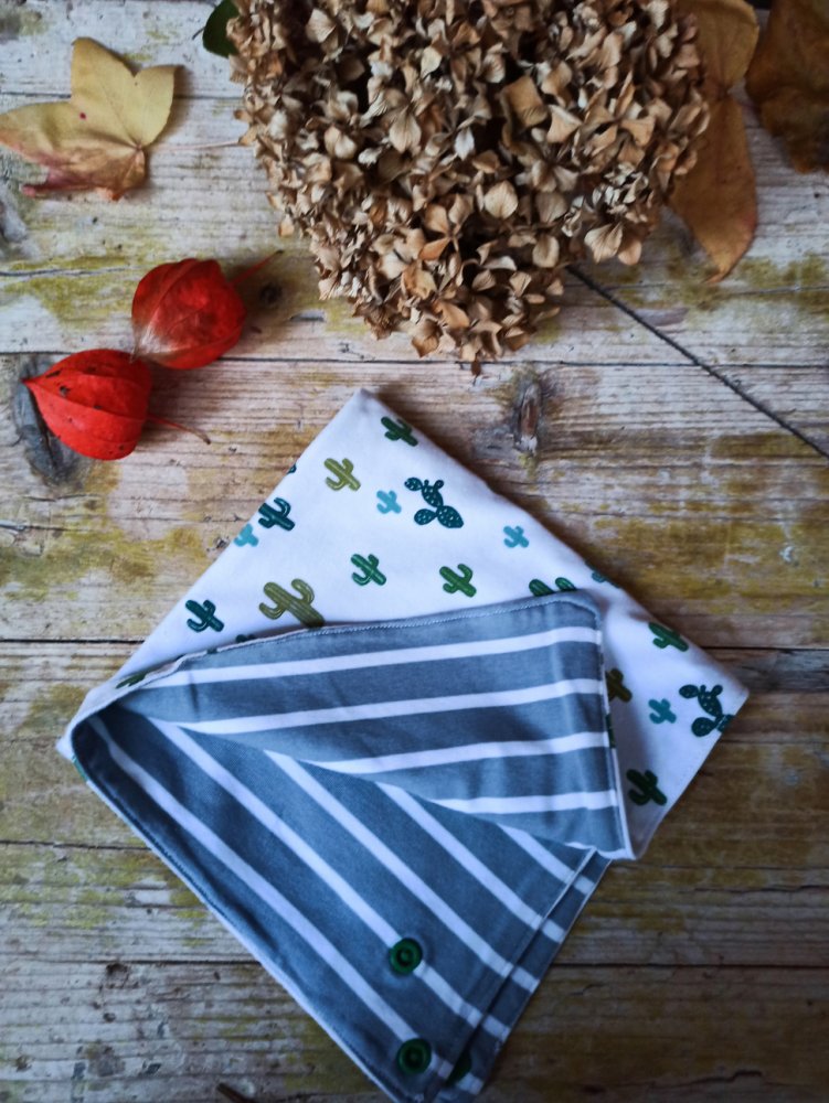 Sciarpa bandana duobleface cactus e righe
