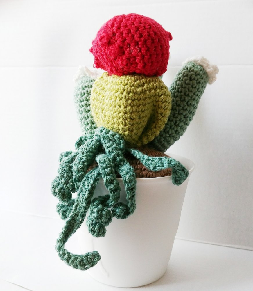Vasetto Piantina grassa mix cactus idea regalo bomboniera
