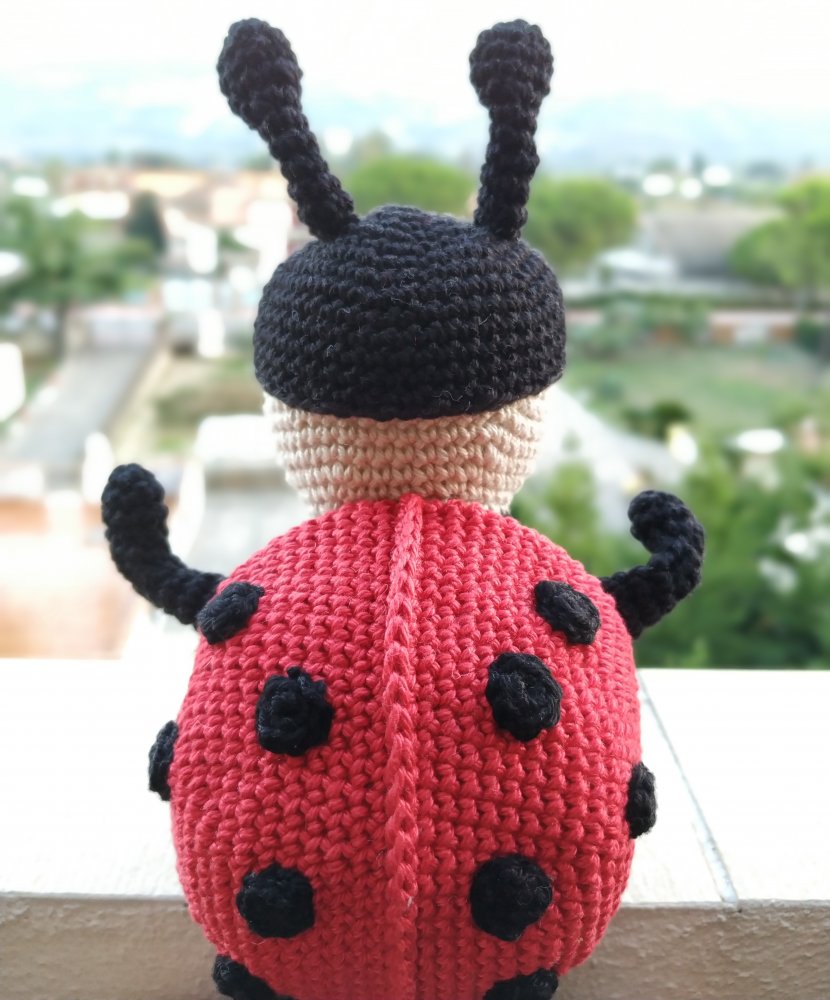 Coccinella Lella
