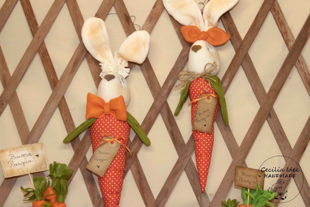 Carota con coniglio