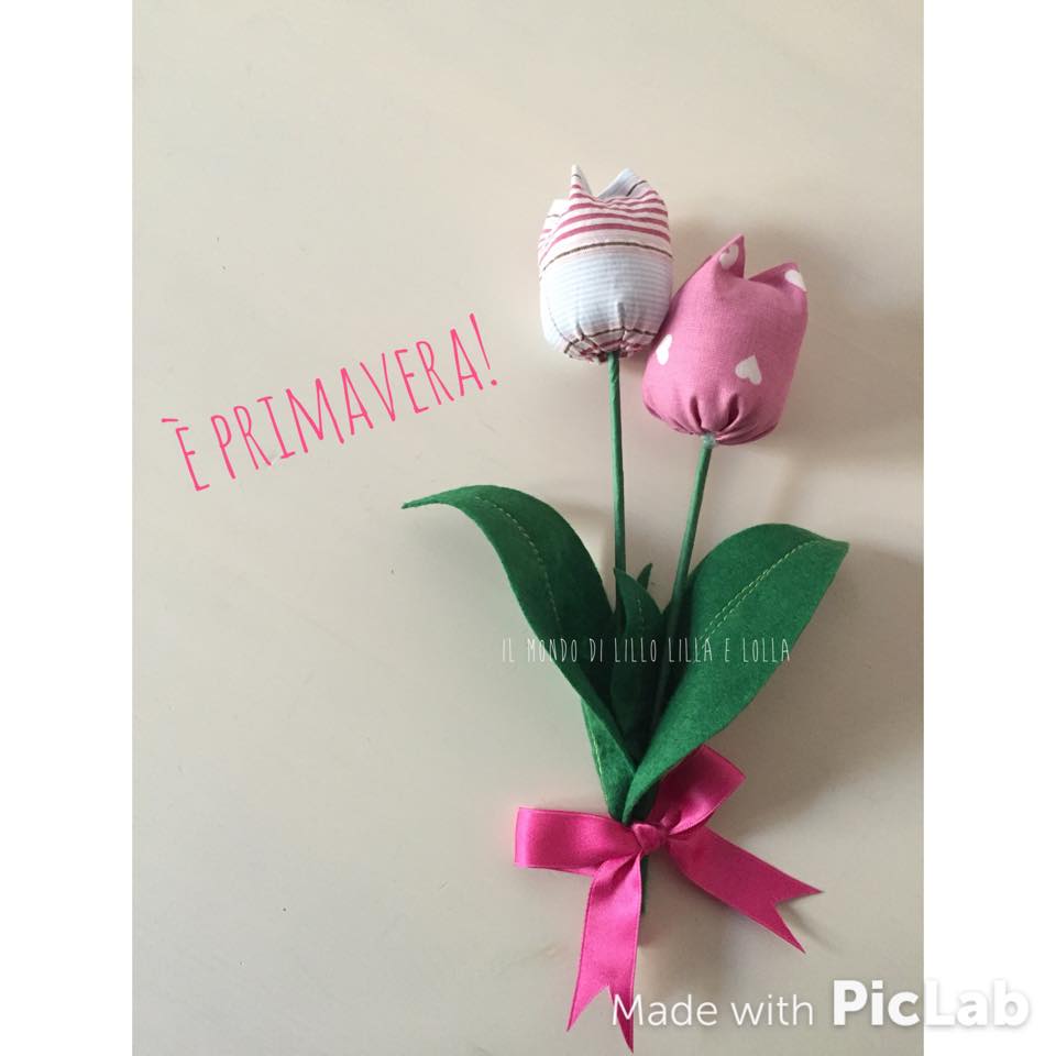 tulipani  primavera