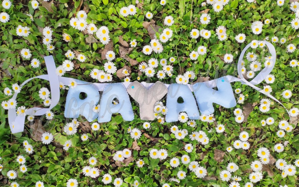 Banner nome bimbo/a