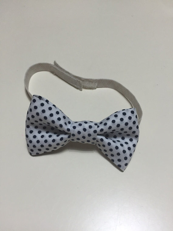 Papillon NEONATO disponibile in tre varianti