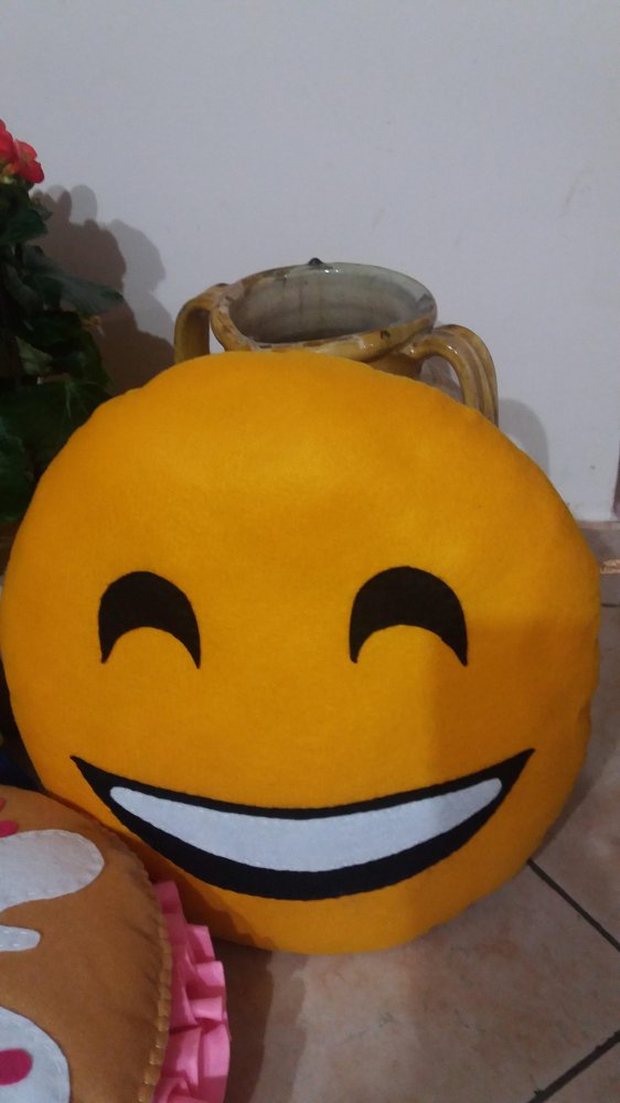 Cuscino smile