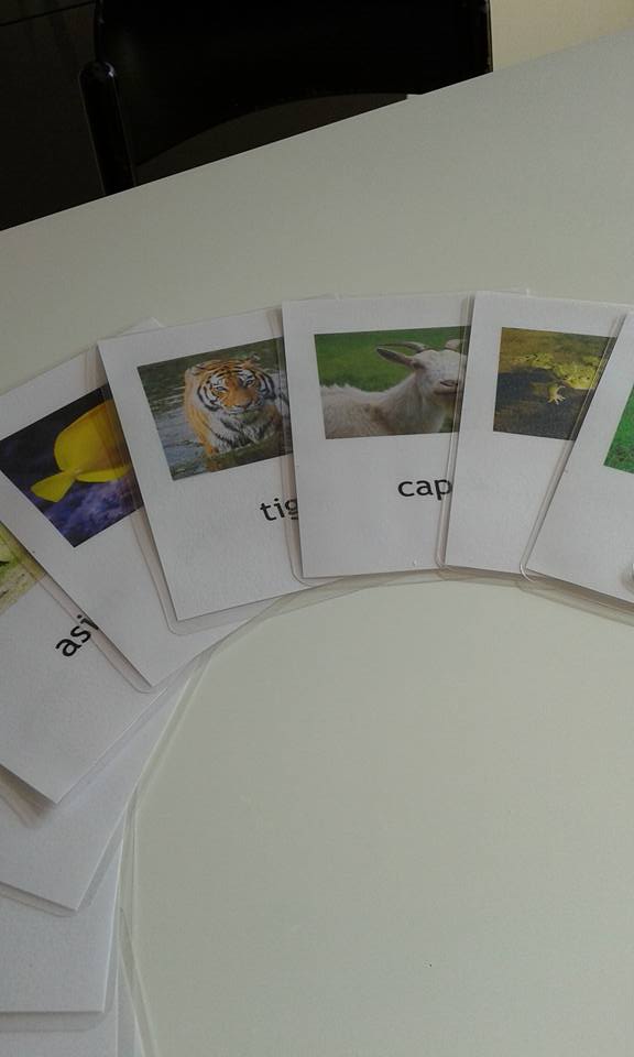 20 schede montessoriane. tema animali