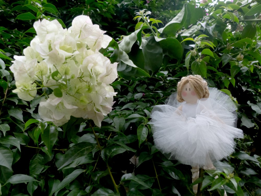 Ballerina in tulle