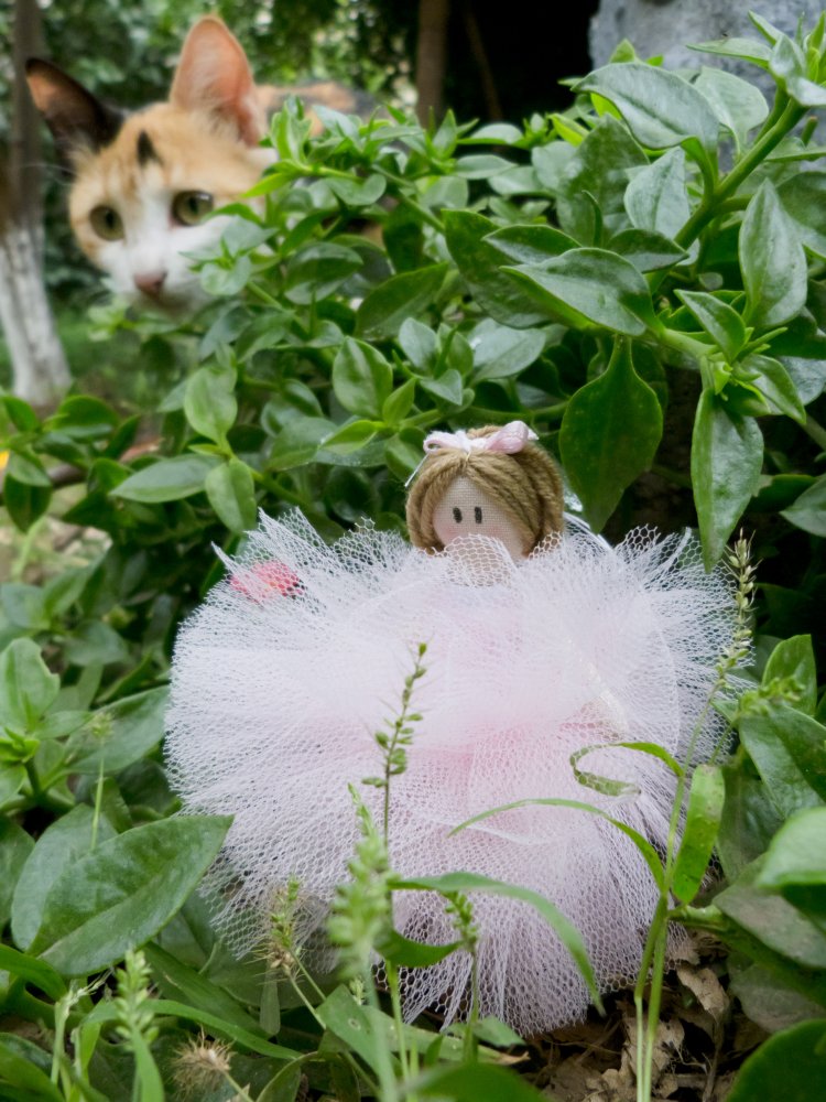 Ballerina in tulle