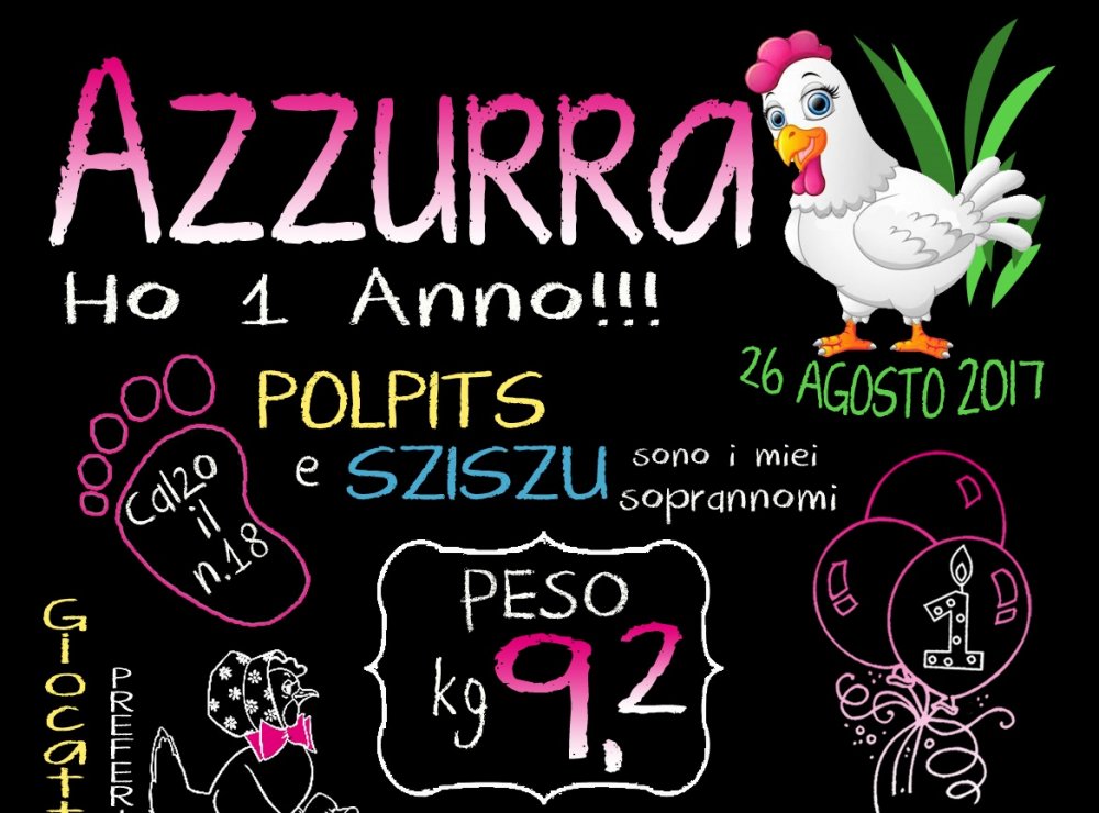 Lavagna Primo Compleanno BIMBA - modello CLASSICO CENTRALE _GALLINA